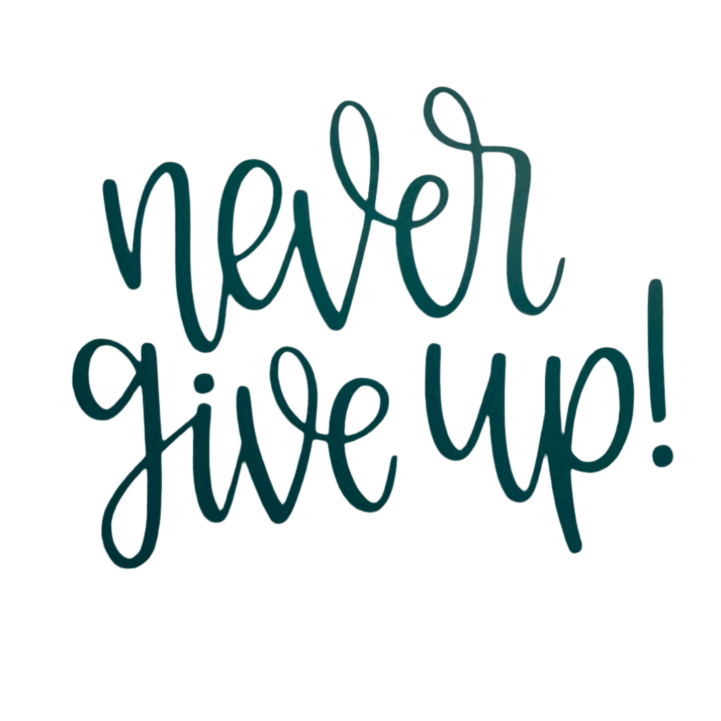 Never Give Up